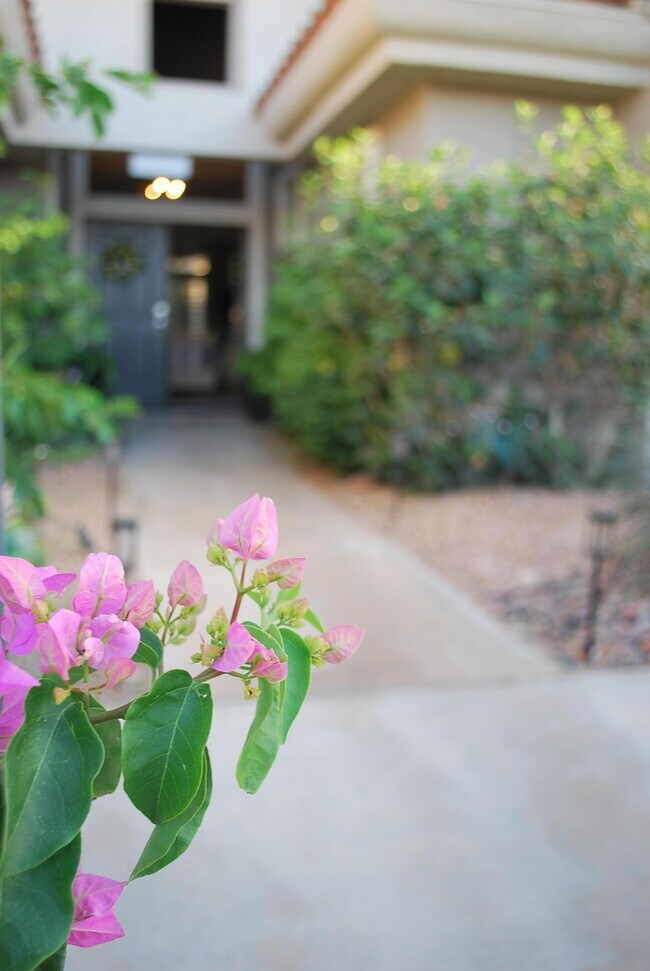 Photo - 78287 Willowrich Dr