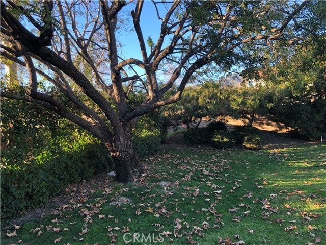 Photo - 303 E Dunbarton Pl