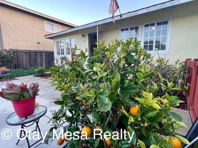 Building Photo - Charming 2-Bedroom Home with Expansive Outdoor Space