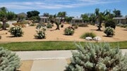 Photo - 26217 Birkdale Rd