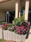 Photo - Mohawk Gardens