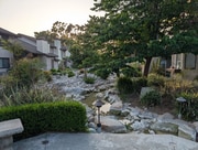 Running creek behind house with patio overlooking - 1419 Poseidon