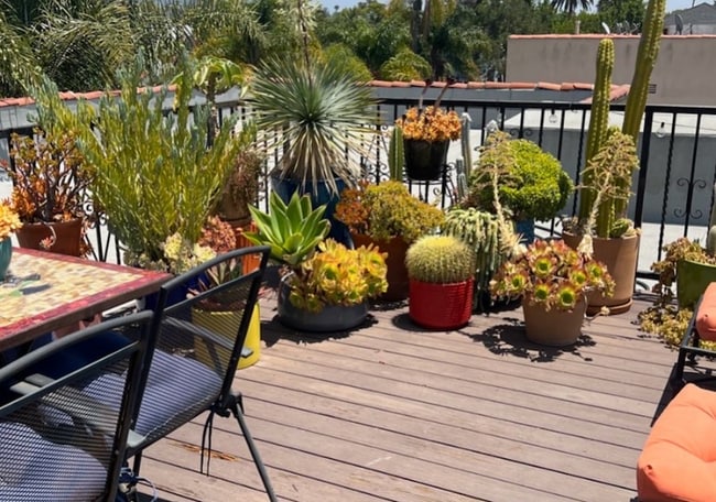 Photo - 464 N Stanley Ave Unit 3