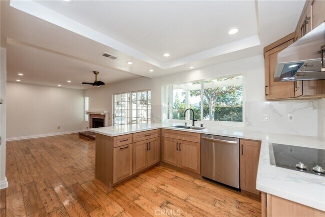 Photo - 6 Elderberry