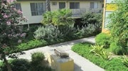 Velvet Green - Velvet Green Apartments