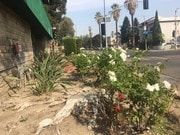 Photo - 303 Commonwealth Ave Unit 204