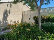 Photo - 28082 Morro Ct