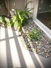 Photo - 6863 Alderwood Dr
