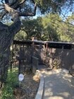 Photo - 9801 Shadow Island Dr House