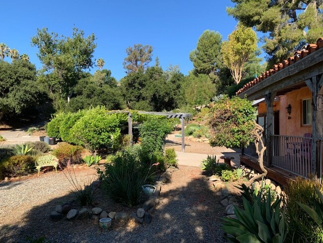 Photo - best of both worlds