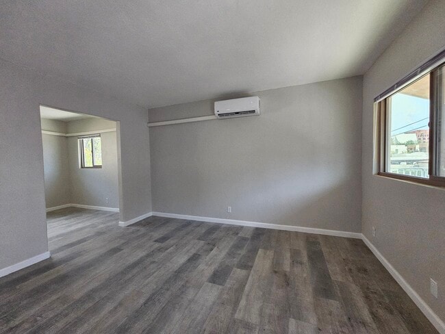 Photo - Bahama Palms