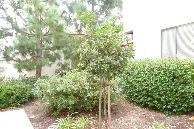 Photo - 8437 Via Mallorca