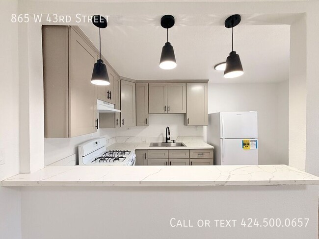 Building Photo - 865 W 43rd St