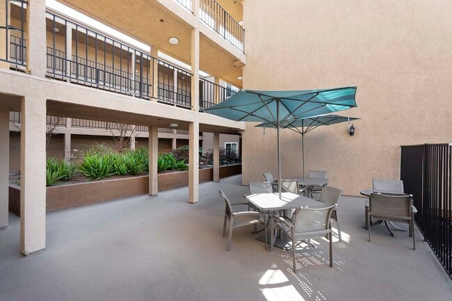 Photo - Vineland Gardens