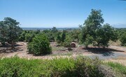 Photo - 3 Bedroom Ranch-Style Home on Avocado Grove Property in South Morro Hills