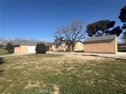 Photo - 10803 Bellflower Ave