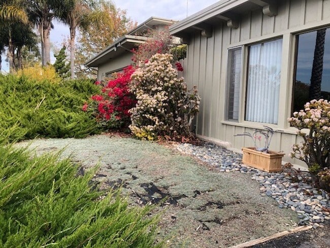 Photo - Tranquil Encinitas Studio Retreat