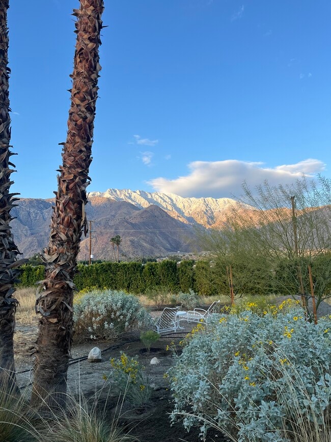 Photo - 277 East Racquet Club Road