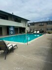 Photo - 1728 Westcliff Dr Unit 18