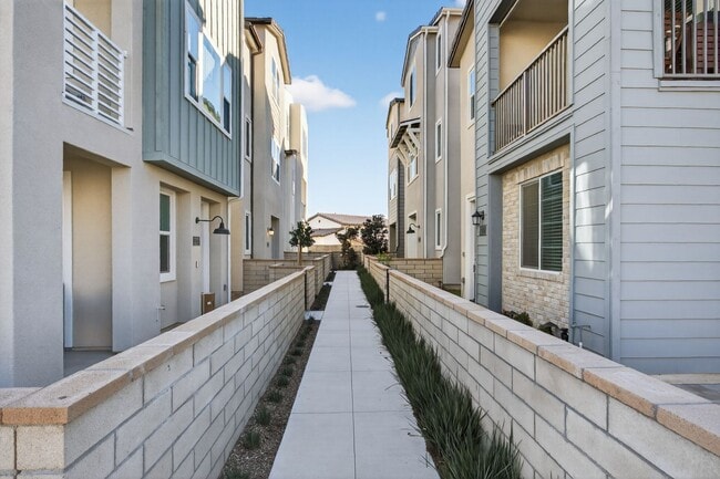 Photo - Rancho Mission Viejo Dream