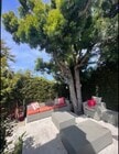 Photo - 5602 Homeside Ave