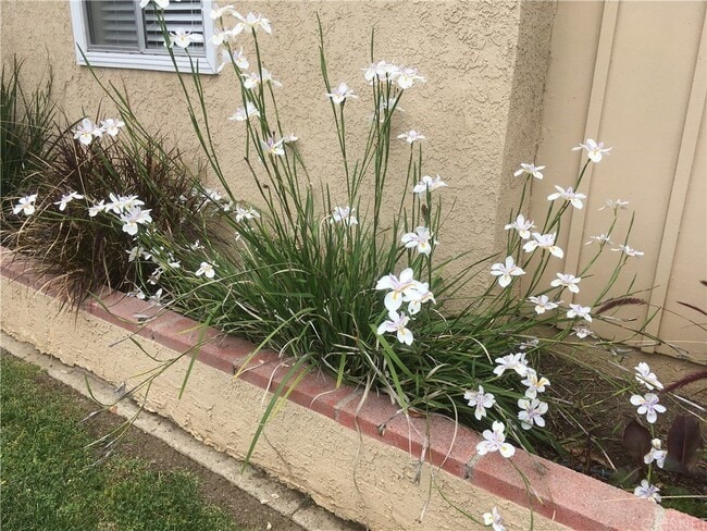 Photo - Spacious 3BR/2BA Tarzana Home with Lush Yard & Sunny Patio