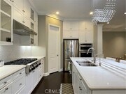 Photo - 56 Purple Jasmine