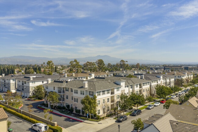 Coventry Court Luxury Senior apartments — community photo - Coventry Court Luxury Senior