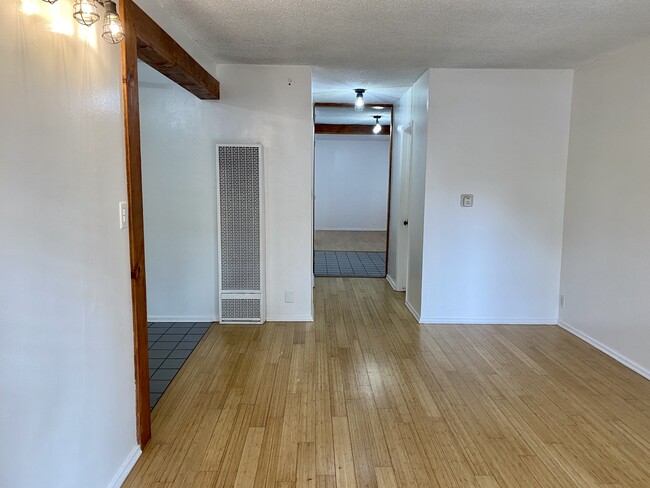 Living Room - 20 20th Ave Unit A