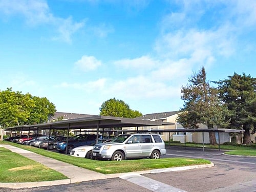 Photo - VINE BY VINTAGE