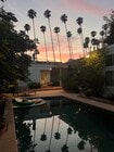Sunset View of Palm Trees from Backyard - 1622 N Sierra Bonita Ave House