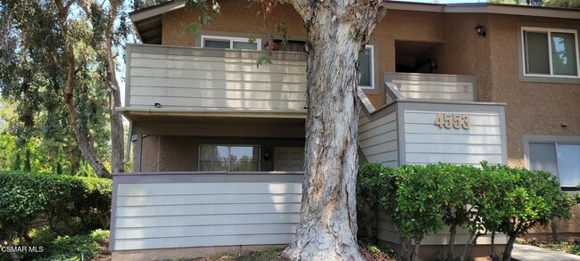 Building Photo - 4553 Alamo St Rental