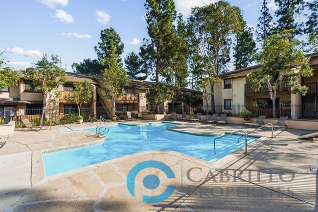 Building Photo - 1BD/1BA Private Balcony + Utilities Included | Prime Black Mountain Location