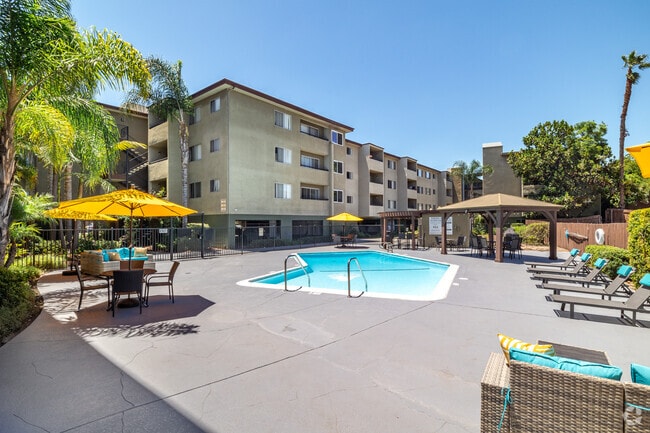 The Penthouse Apartments "Call for Specials" - The Penthouse Apartments "Call for Specials"