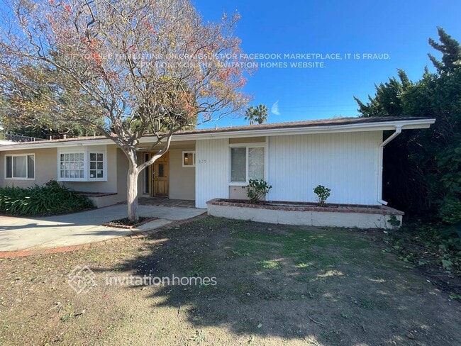 Building Photo - 829 Calle Catalpa