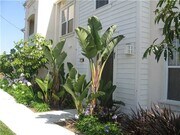 Photo - 855 Harbor Cliff Way Townhome
