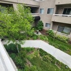 Photo - The Willows. 55+ community