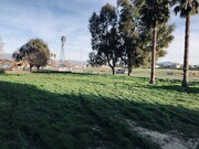 Large Front Side Yard with Palm Trees - 2087 W 7th St