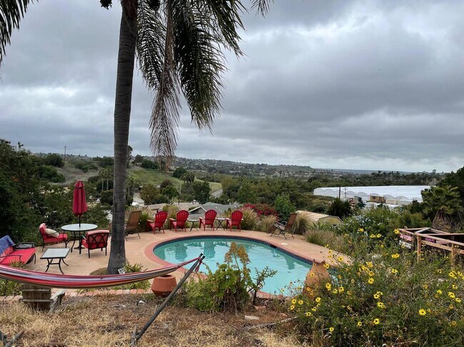 Photo - 315 Osborne St Unit Pool Side