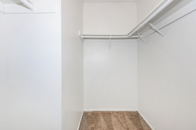 Photo - Newport Terrace