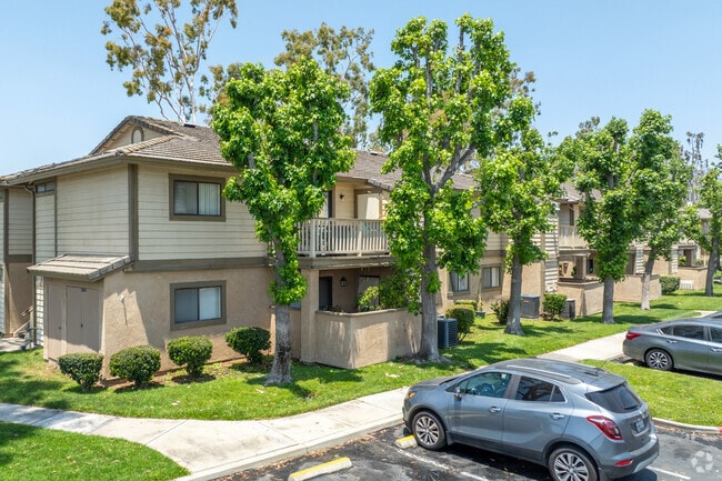 Amberwood Apartments - AMBERWOOD APARTMENTS