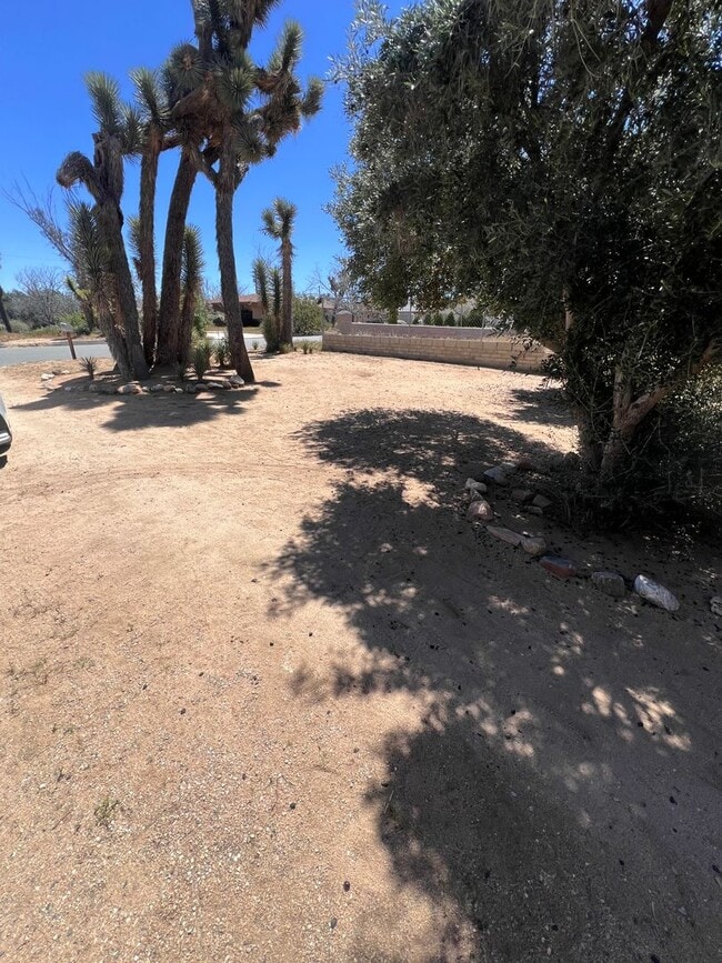 Photo - AVAILABLE NOW