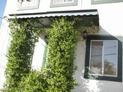 front entrance - 1579 Cerro Gordo St