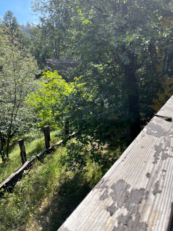 Photo - 23348 Knapps Cutoff