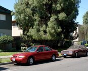 Photo - Stuart Apartments