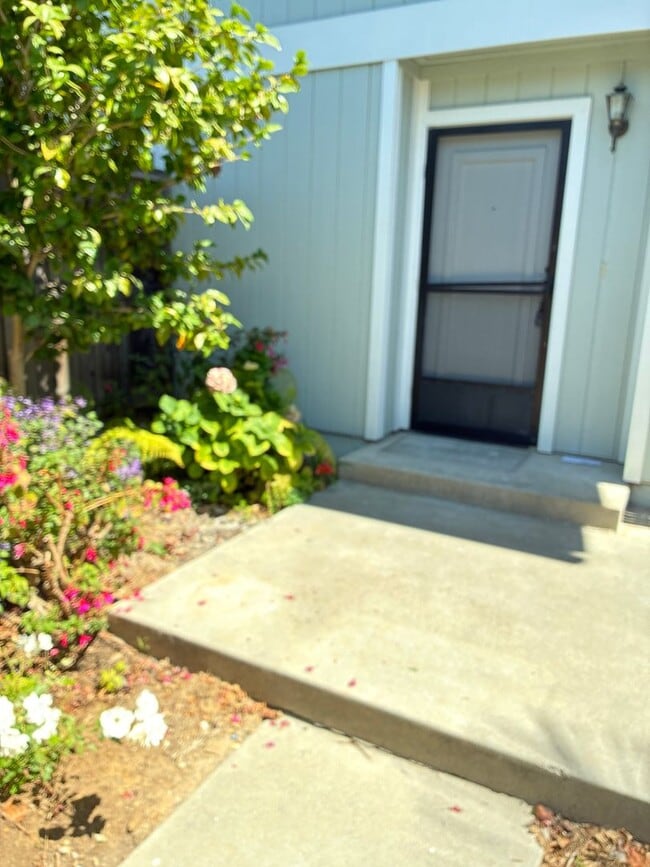 Photo - 487 Cannon Green Dr