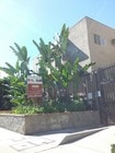 Photo - 1345 N Orange Dr Apartments
