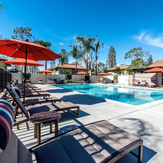 Photo - Sofi Ventura