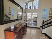 Photo - 5 Morning Glory