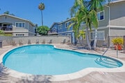 Pool - Park Avenue Apartments